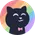 A cat